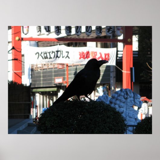 Japanese Crow ポスター (正面)