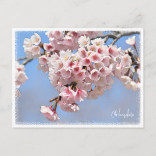 Japanese Flowering Cherry ポストカード