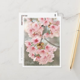 Japanese Flowering Cherry ポストカード