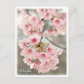 Japanese Flowering Cherry ポストカード (正面)