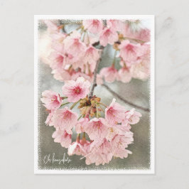 Japanese Flowering Cherry ポストカード