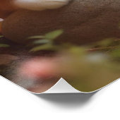 Japanese flowers and orange tabby cat ポスター (コーナー)