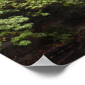 Japanese Garden in Fall Poster ポスター (角)