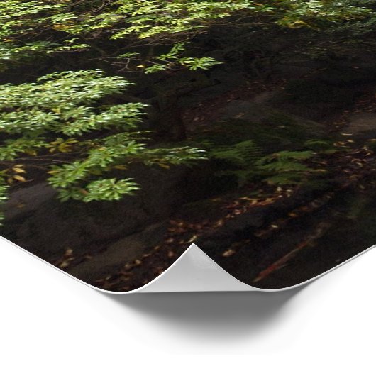 Japanese Garden in Fall Poster ポスター (角)