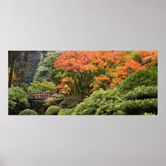 Japanese Garden in Fall Poster ポスター (正面)