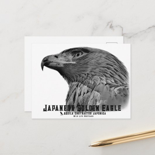 Japanese Golden Eagle ポストカード (正面/裏面インサイチュ)