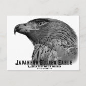 Japanese Golden Eagle ポストカード (正面)