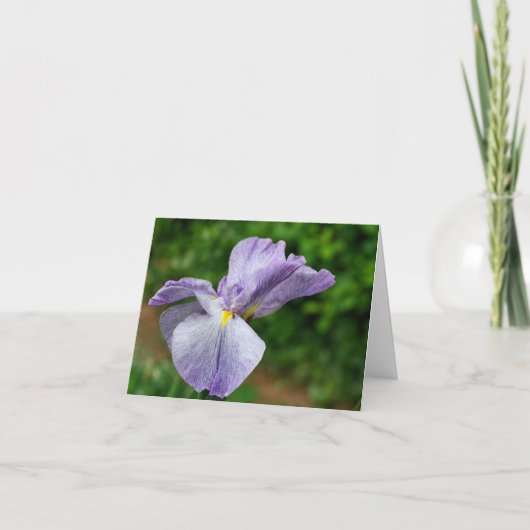 Japanese Iris Unfolding Flower Photography  ノートカード (正面)