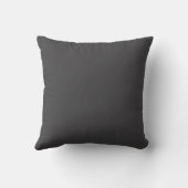 Japanese Kanji “Sky/Heaven” Pillow クッション (裏面)