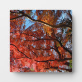 Japanese Maple フォトプラーク (正面)