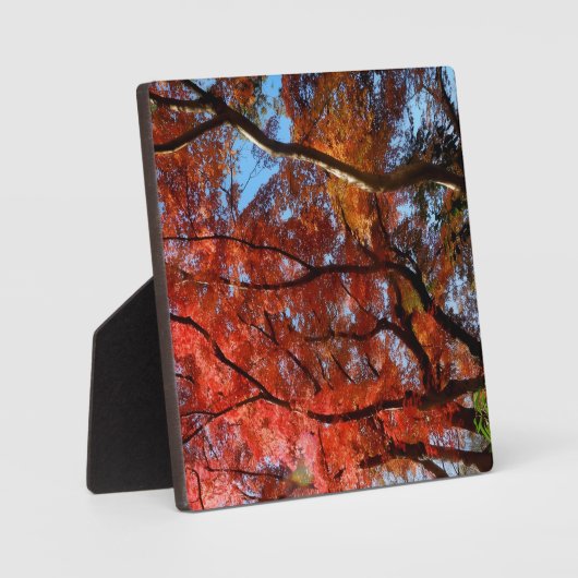 Japanese Maple フォトプラーク (正面)