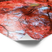 Japanese Maple フォトプリント (角)