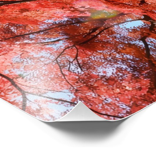 Japanese Maple フォトプリント (角)