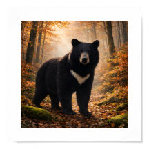 Japanese Moon Bear in Autumn Forest – Art Print