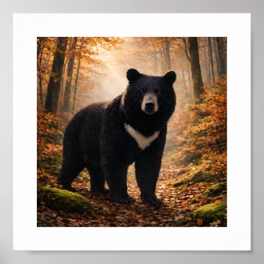 Japanese Moon Bear in Autumn Forest – Art Print ポスター (正面)