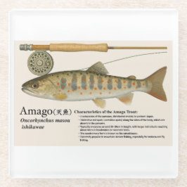 Japanese Native Trout – Amago ガラスコースター