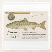 Japanese Native Trout – Yamame  ガラスコースター (正面)