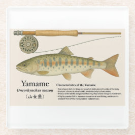 Japanese Native Trout – Yamame  ガラスコースター
