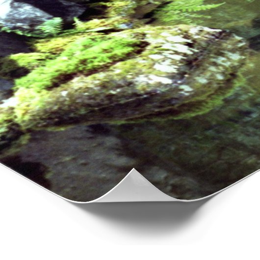 Japanese Oasis ポスター (角)