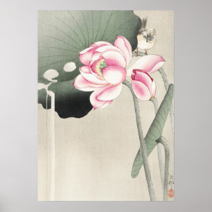 Japanese painting by ohara koson,vintage小原古邨の日本画 ポスター