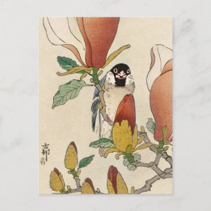 Japanese painting by ohara koson,vintage,小原古邨の日本画 ポストカード