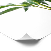 Japanese Peony フォトプリント (角)