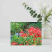 JAPANESE SHANGRI-LA [Postcard] ポストカード (スタンド正面)