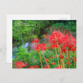 JAPANESE SHANGRI-LA [Postcard] ポストカード (正面/裏面)