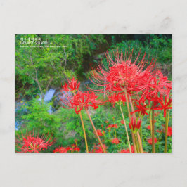 JAPANESE SHANGRI-LA [Postcard] ポストカード