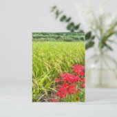 JAPANESE SHANGRI-LA [Postcard] ポストカード (スタンド正面)