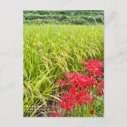 JAPANESE SHANGRI-LA [Postcard] ポストカード (正面)