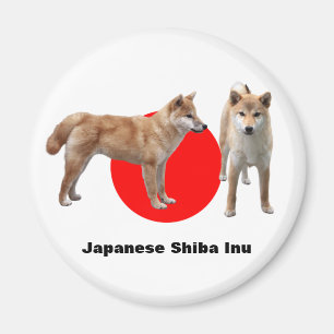Japanese Shiba Inu マグネット