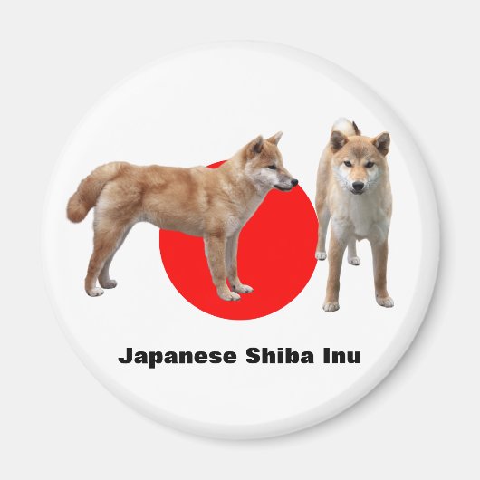 Japanese Shiba Inu マグネット (正面)