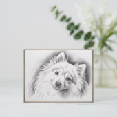 Japanese Spitz Dog Breed Sketch Illustration ポストカード (スタンド正面)
