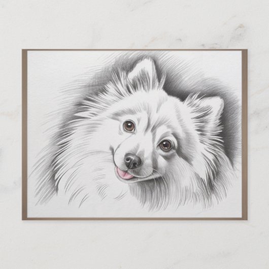 Japanese Spitz Dog Breed Sketch Illustration ポストカード (正面)