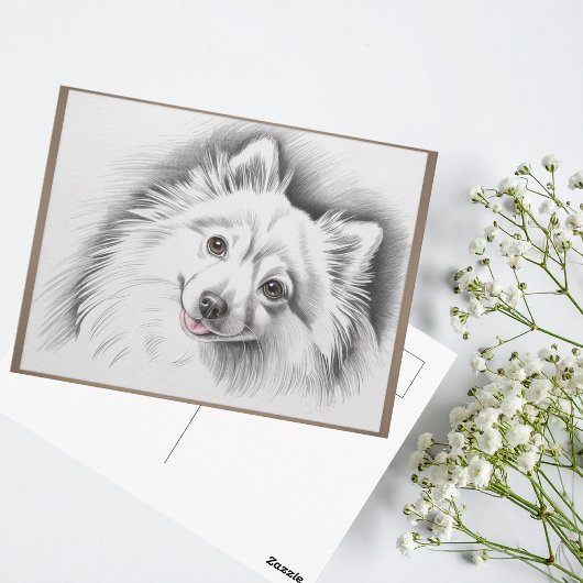 Japanese Spitz Dog Breed Sketch Illustration ポストカード
