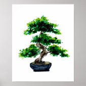 Japanese Watercolor Bonsai Tree ポスター (正面)