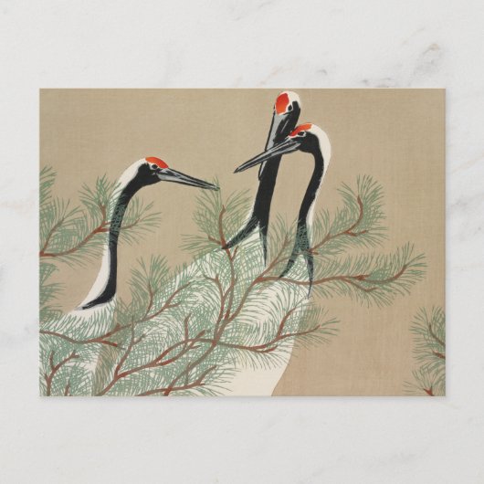 Japanese woodblock-print Cranes - Kamisaka Sekka ポストカード (正面)