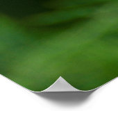 japanische Anemone rosa blühend im Garten,Nahaufn. ポスター (角)