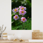 japanische Anemone rosa blühend im Garten,Nahaufn. ポスター (キッチン)