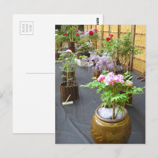 Japan's Scenery ポストカード (正面/裏面)