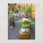 Japan's Scenery ポストカード (正面)