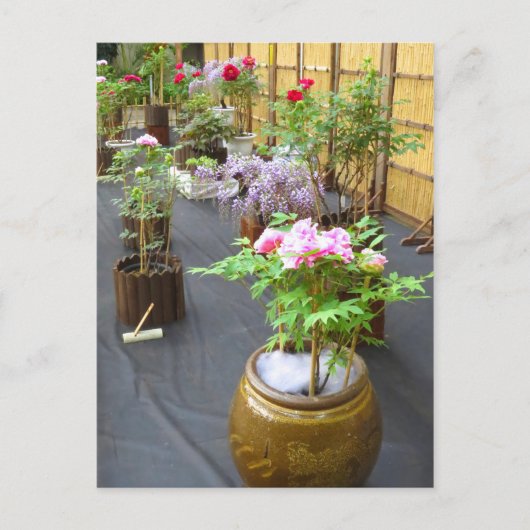 Japan's Scenery ポストカード (正面)