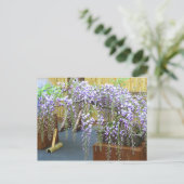 Japan's Scenery [Postcard] ポストカード (スタンド正面)