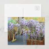 Japan's Scenery [Postcard] ポストカード (正面/裏面)