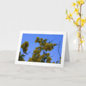 Japnonica カード (黄色い花)