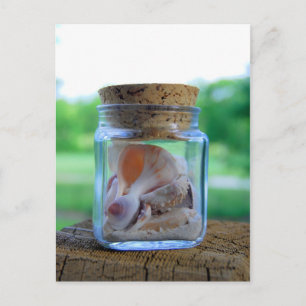 Jar of Sea Shellsポストカード ポストカード
