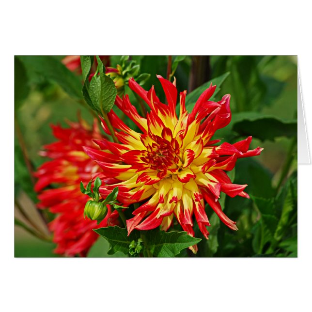 Jardin des Plantes-5 (正面横)