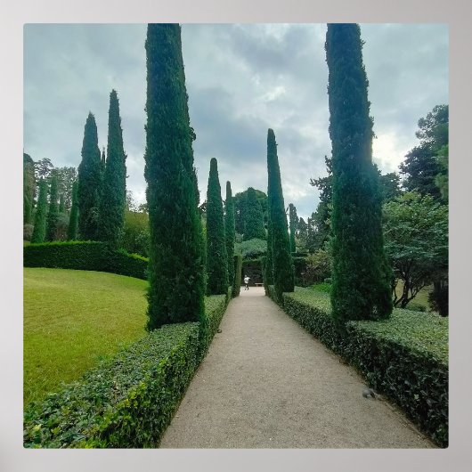 Jardinen lloret 箔ポスター (正面)