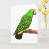 Jardinesのオウムの挨拶状 カード (黄色い花)